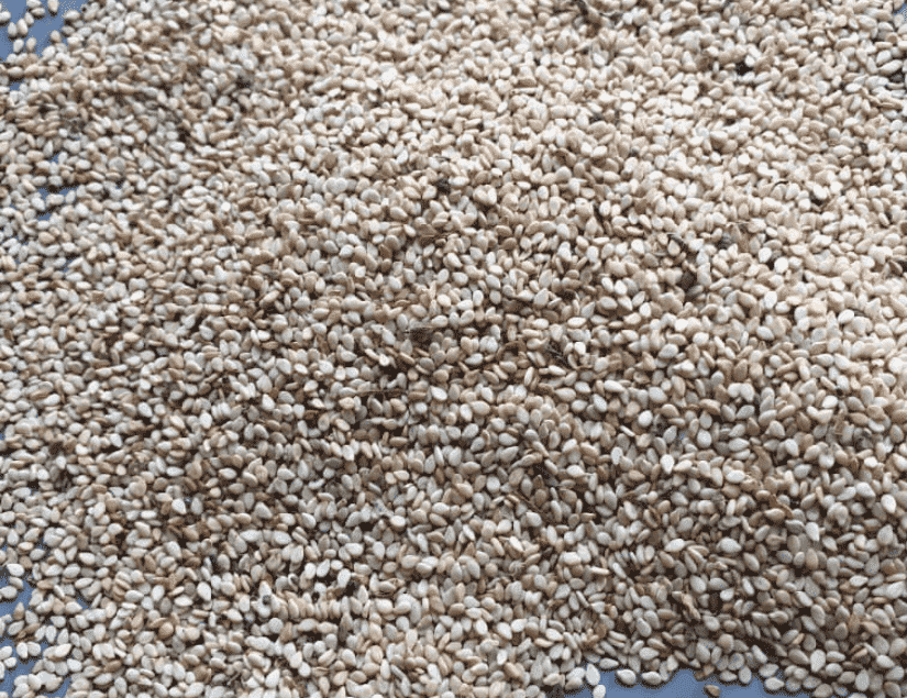 White sesame commercial grade